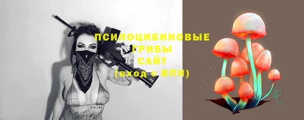 индика Абдулино
