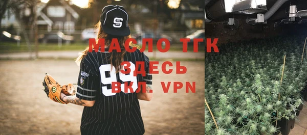 индика Горнозаводск