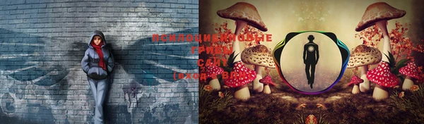 каннабис Абаза